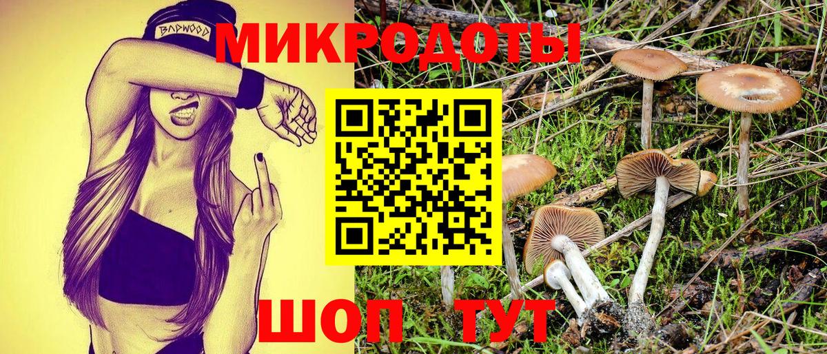 Красный Сулин  Галлюциногенные грибы ЛСД  Вход с VPN 
