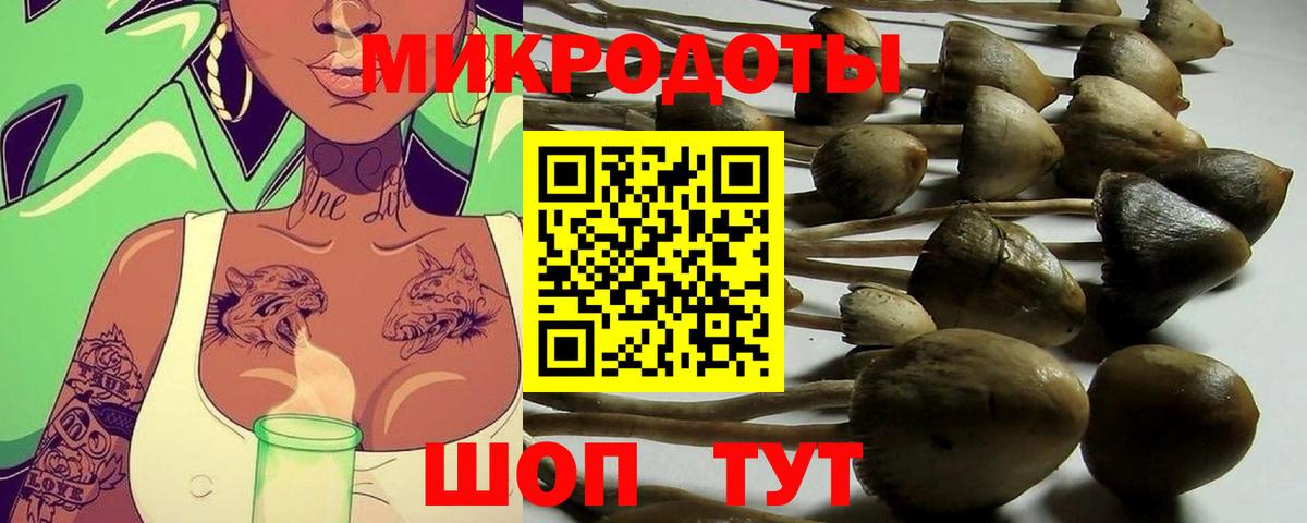 Псилоцибиновые грибы мухоморы Красный Сулин